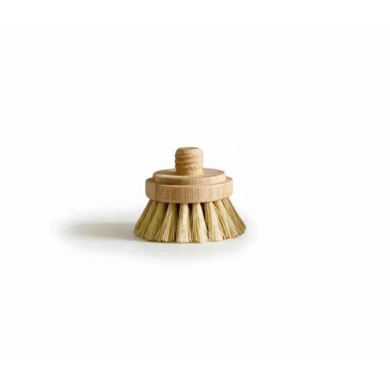 Bamboo Brush Replacement Bristle