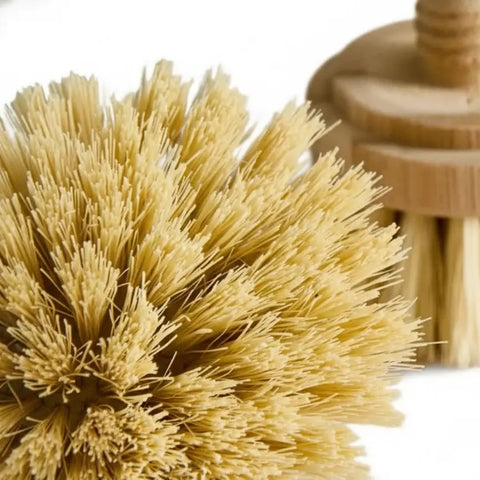 Bamboo Brush Replacement Bristles (Set of 2)